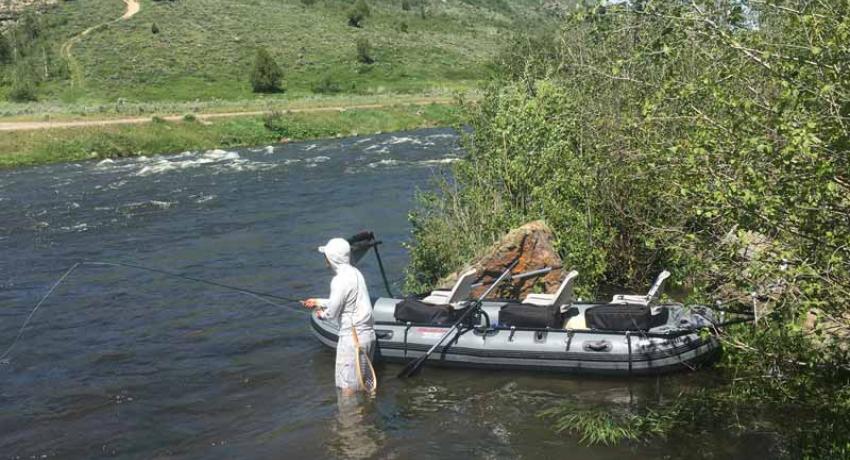 Fly Fishing the Henrys Fork